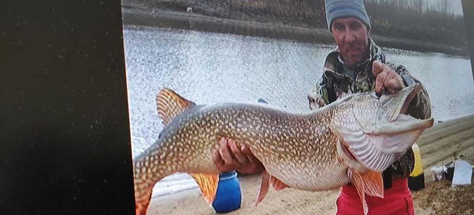 "Вона какие звери в наших водоемах еще водятся!" В Сосьве выловили "крокодила" 