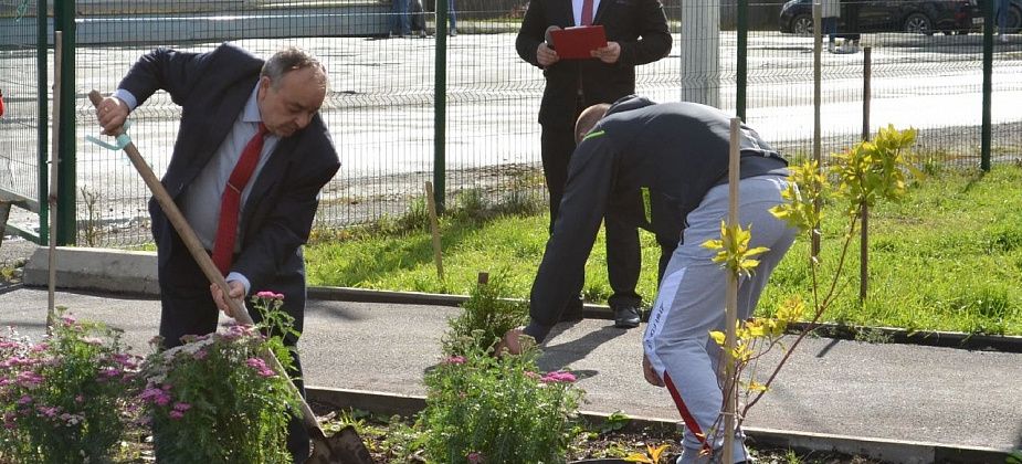 В Сосьве открыли парк "Семья". Глава Геннадий Макаров посадил тую