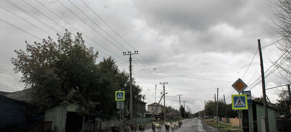 Почему гаринские депутаты сдали мандаты. Часть вторая 