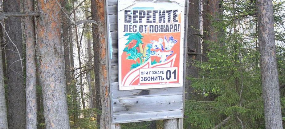  "Сегодня, завтра полностью ликвидируют". Глава Гарей рассказал о ситуации с лесными пожарами на территории