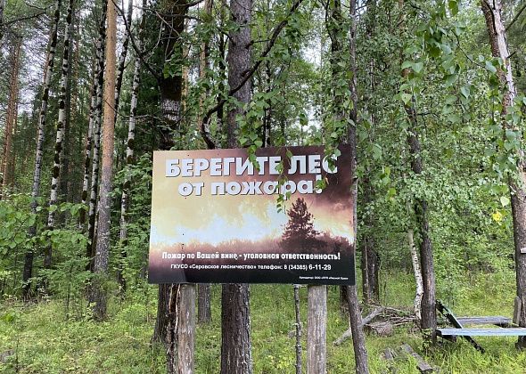 В Свердловской области отменили противопожарный режим