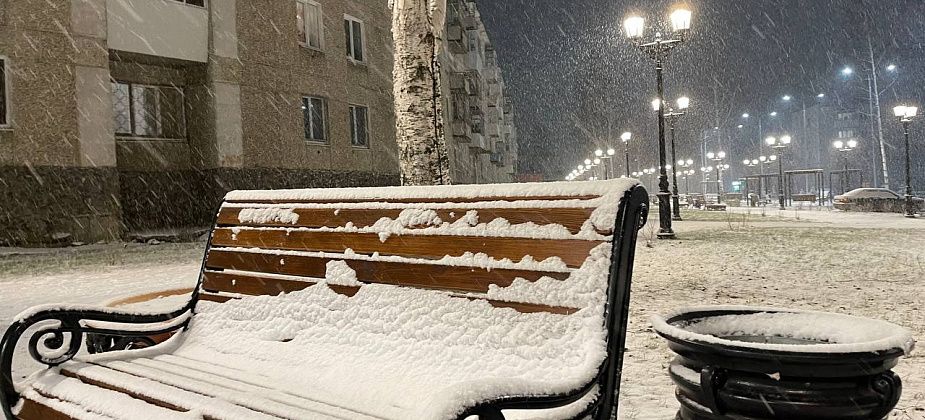 Ноябрь на севере области закончится оттепелью