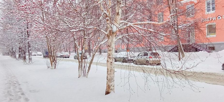 Синоптик: после выходных на севере области будет по-зимнему