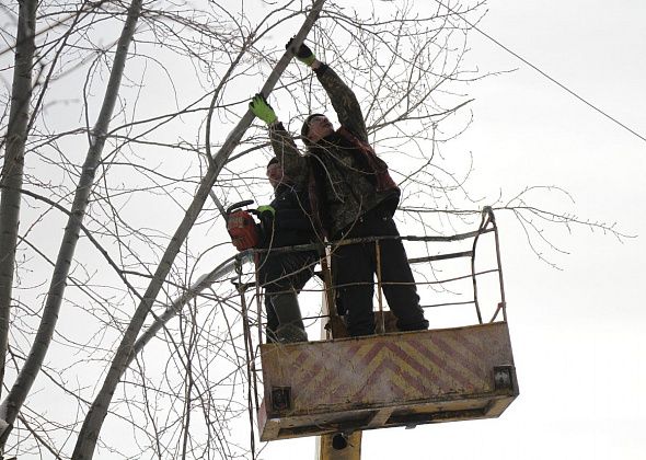 В Сосьве на обрезку и уборку 44 деревьев готовы потратить порядка 300 тысяч рублей