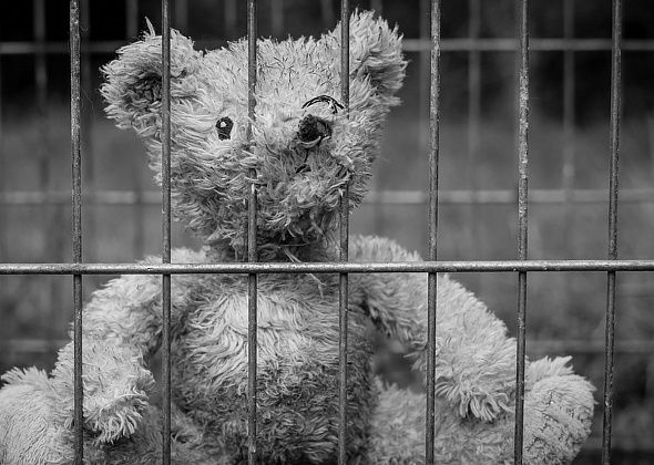 ЛДПР предлагает понизить возраст уголовной ответственности до 12 лет