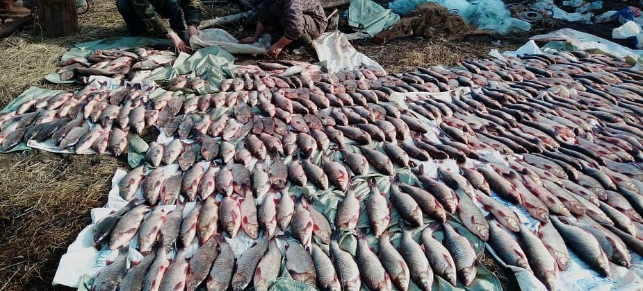 Росрыболовство подтвердило, что среди рыбаков, задержанных в Гарях, были сотрудник полиции Серова и чиновник