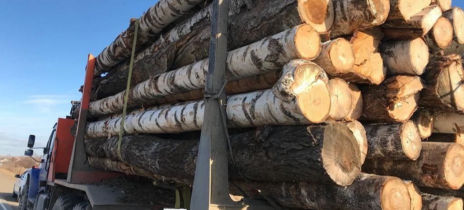 Полицейские Серова, Сосьвы и Гарей подвели итоги оперативно-профилактического мероприятия «Лес»