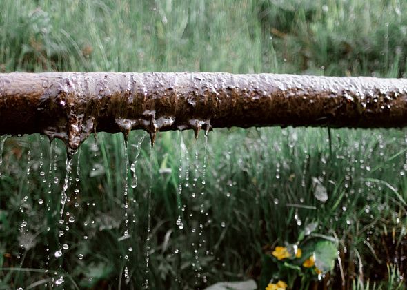 Синоптики прогнозируют снижение температуры и умеренные дожди