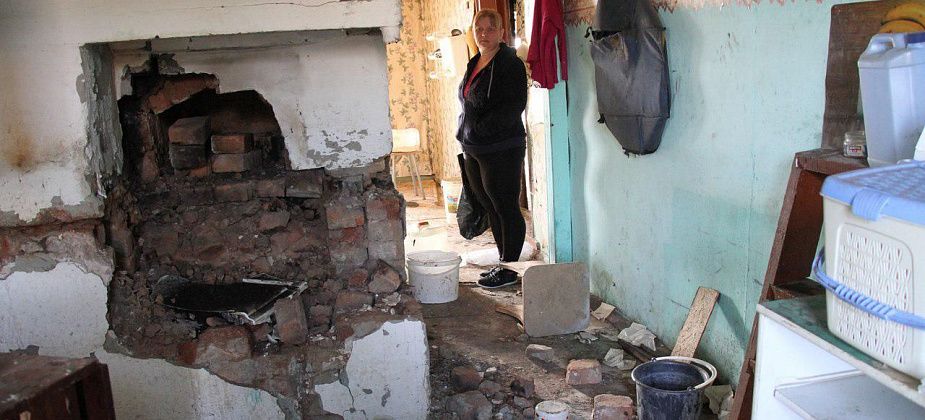 В Серове зоозащитник съехала, оставив в доме мертвых щенков и разруху