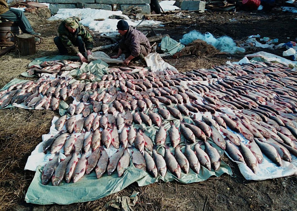 За год в Гарях осуждено шестеро рыбаков - браконьеров 