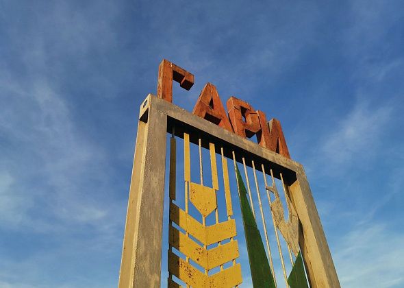 Жителя Гарей подозревают в сексуальном насилии над несовершеннолетней