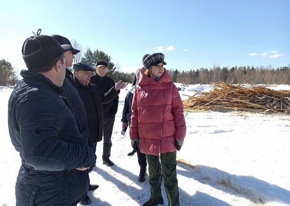 На берегу Сосьвы обнаружили свалку опила и горбыля. Чтобы решить вопрос с очисткой, замминистра экологии инициировала совещание