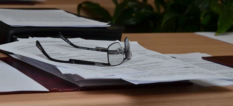 ОСАГО, запрет увольнений и защита животных. Рассказываем, какие законы вступают в силу с 1 марта