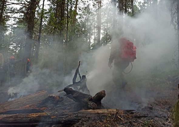 Эксперт считает, что вероятной причиной пожара в заповеднике “Денежкин Камень” стала молния