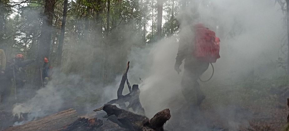 Эксперт считает, что вероятной причиной пожара в заповеднике “Денежкин Камень” стала молния