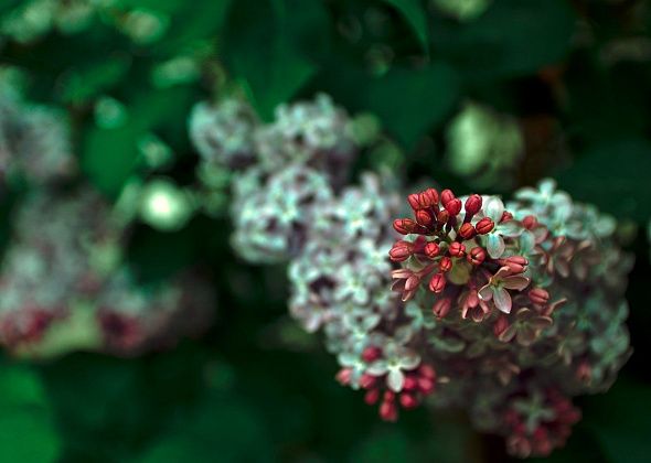 Будет облачно, но тепло. Синоптики рассказали о погоде на праздничные выходные