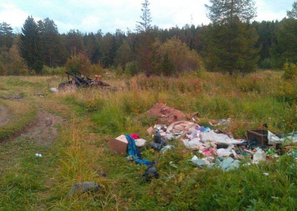 В Свердловской области установили фотоловушки для фиксации виновных в создании несанкционированных свалок