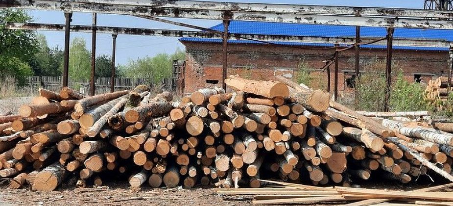 Минприроды взыскало с АО "Аргус СФК" больше 9 миллионов рублей за причинение ущерба лесам