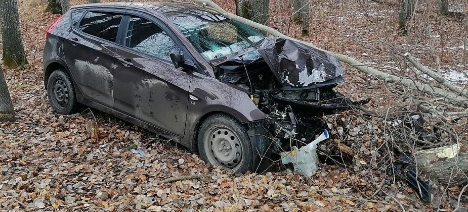 В Морозково иномарка вылетела с дороги и врезалась в дерево. В результате ДТП пострадала пенсионерка