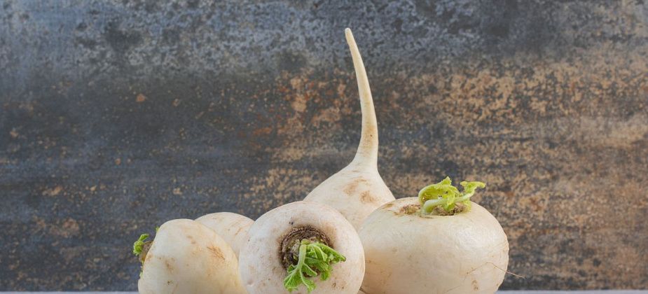 Приметы на 28 сентября. Едим репу, чтобы не болели зубы