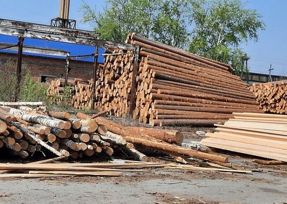 Мастер леса получил условный срок за незаконную рубку 72 деревьев в Гаринском лесничестве