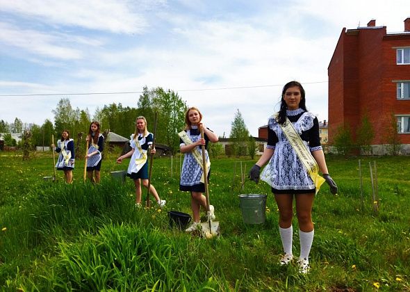 Выпускники школы Кошая в память о погибших в Великой Отечественной высадили 4 туи и 10 голубых елей
