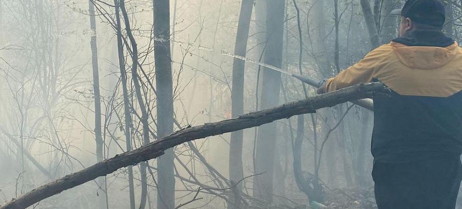 В Сосьве формируют добровольческий отряд на пожароопасный период