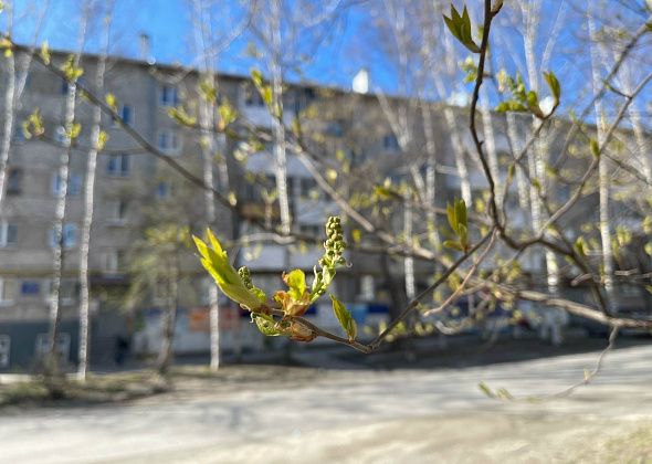 На севере области на майские праздники прогнозируется теплая погода