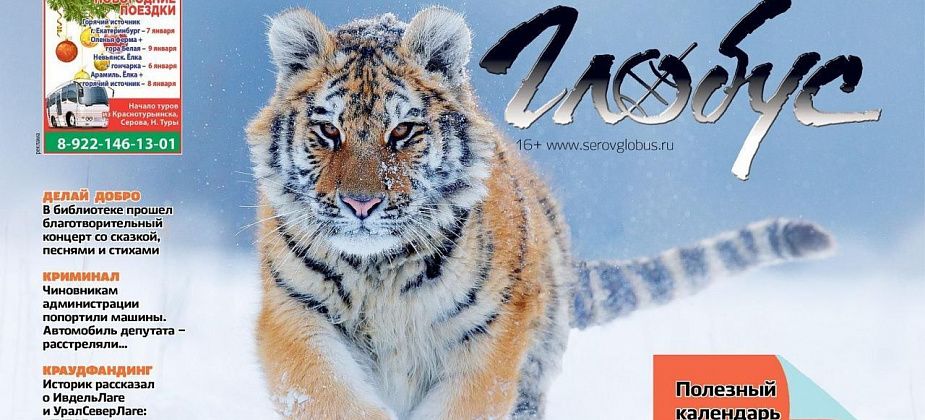 Первый “Глобус” года: календарь, гороскоп, поврежденные машины чиновников и батл домашних любимцев