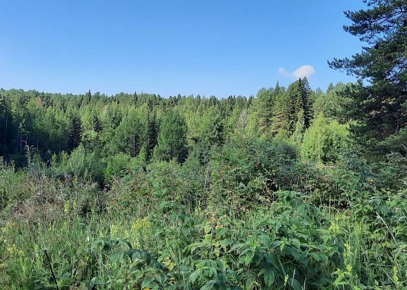 Туристов просят регистрировать свои маршруты в МЧС