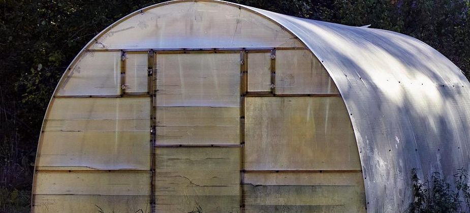 В России начали строить теплицы для бананов