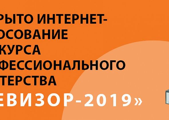 Библиотечный проект вошел в тройку лидеров конкурса "Ревизор". Голосование продолжается