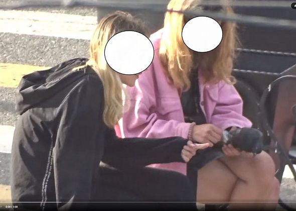 Родителей серовских школьниц, которых "прославило" видео с ощипанным голубем, привлекли к административной ответственности