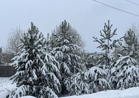 За пять дней апреля в Гарях выпало 135% месячной нормы осадков