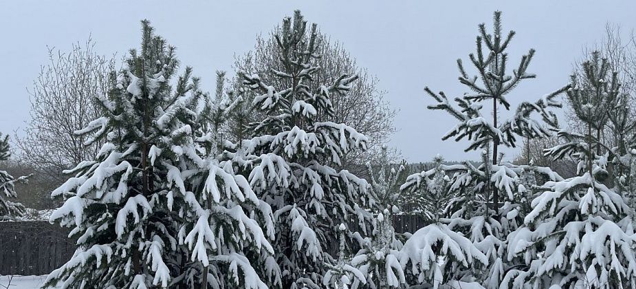 За пять дней апреля в Гарях выпало 135% месячной нормы осадков