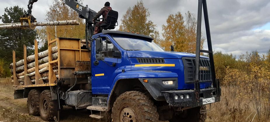 Сосьвинская колония начала вывозку леса