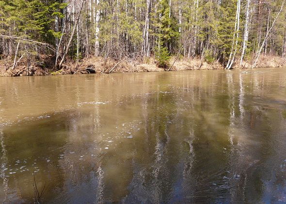 "Живой Шемур" опубликовал результаты анализов проб воды из озера Светлого и дренажного узла, вода из которого используется для водоснабжения Североуральска