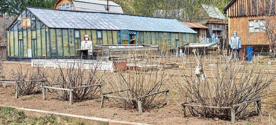 Начинаем садовый сезон. Чем заняться садоводам в апреле? 