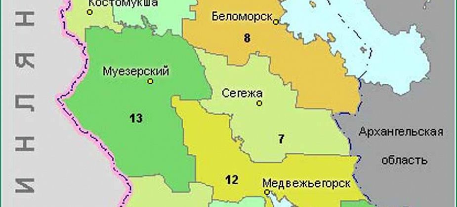 В Карелии погибли 13 детей и взрослый