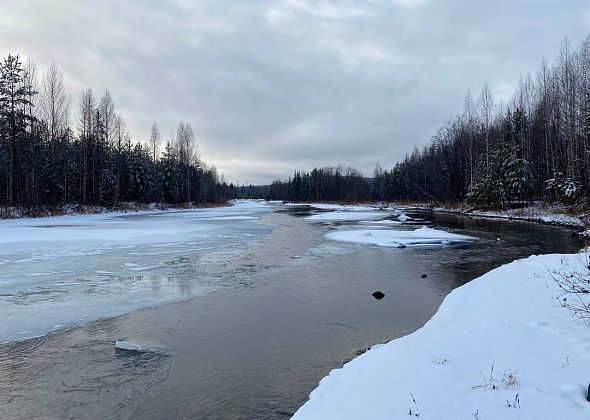 Под Гарями ищут пропавшего 69-летнего рыбака из Ликино