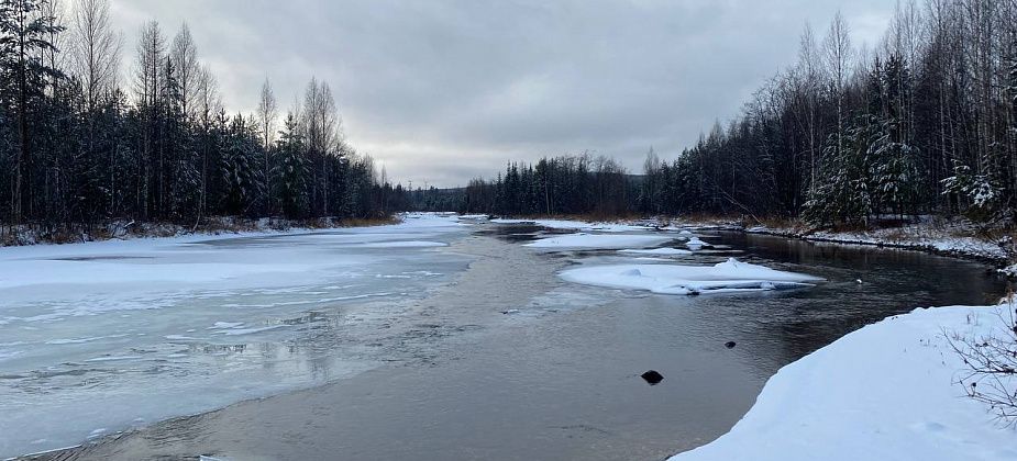 Под Гарями ищут пропавшего 69-летнего рыбака из Ликино