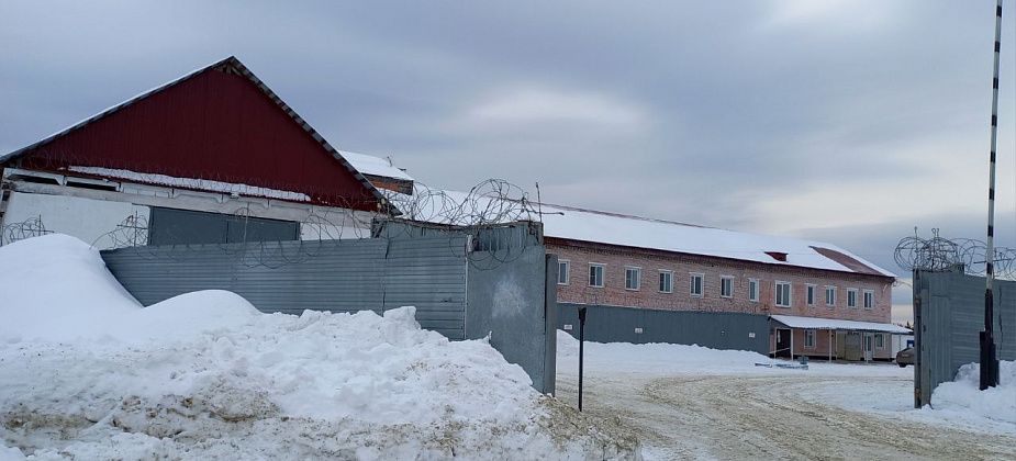 "Потрогайте мои руки...". В штабе ивдельской колонии не было отопления с прошлой осени