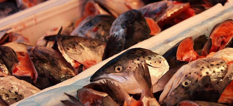 Роспотребнадзор проконсультирует серовчан и сосьвинцев по вопросам качества и безопасности мясной и рыбной продукции