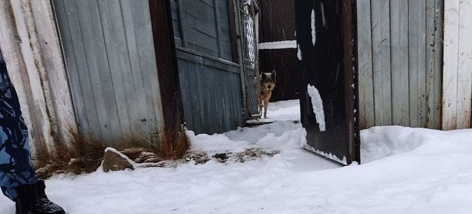 Джек - хороший мальчик из "Черного беркута"