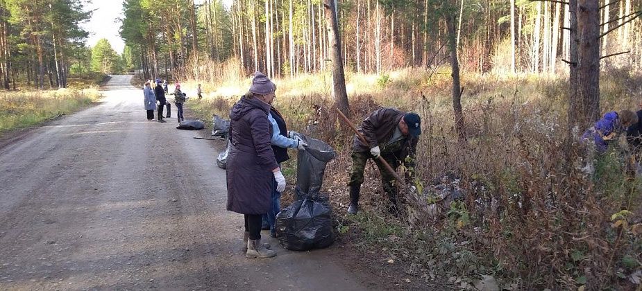 В Сосьве чиновники и работники культуры прибрали автодорогу, ведущую на кладбище