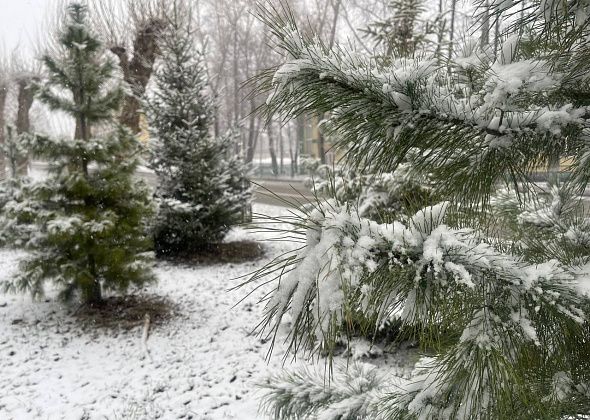 Потепления на севере области стоит ждать не раньше середины апреля