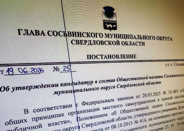 В составе Общественной палаты Сосьвы произошли изменения