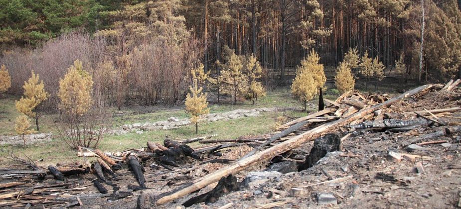 В Сосьвинском округе сделают противопожарную опашку 7 населенных пунктов