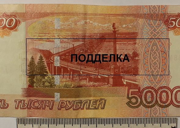 Полиция Серова провела операцию "Купюра"