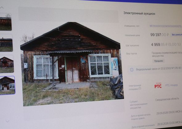 Мэрия продает здание магазина в Пасынке и овощник в Сосьве